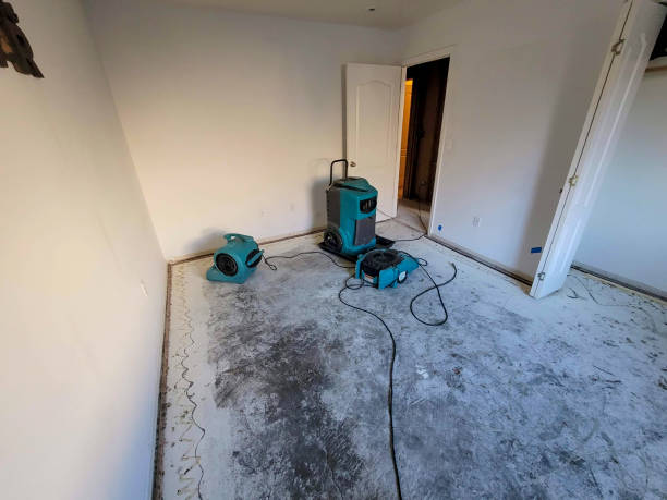 Best Sewage cleanup and water damage restoration  in Sleepy Hollow, CA