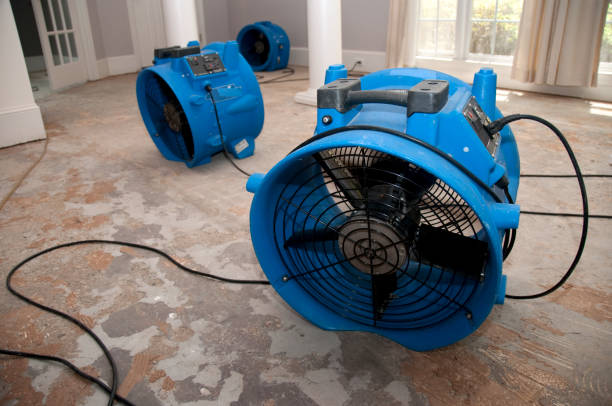 Best 24-hour water damage restoration  in Sleepy Hollow, CA